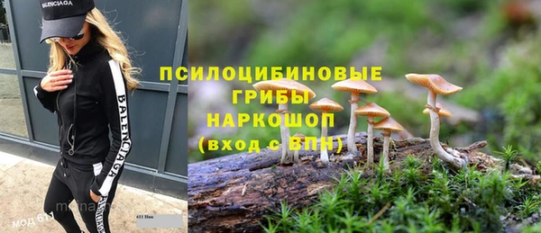таблы Дмитровск