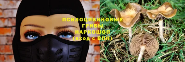 соль курить ск Дмитров