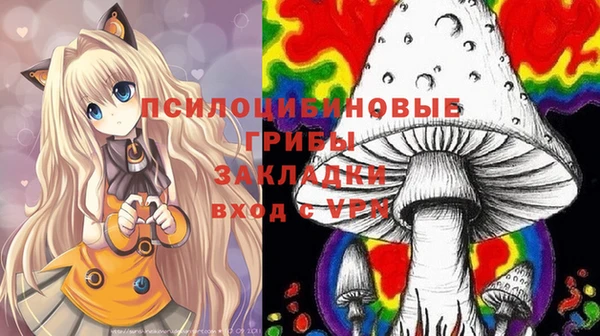 соль курить ск Дмитров