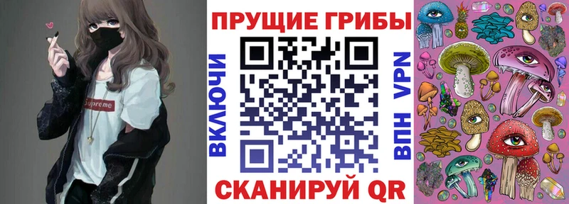 Галлюциногенные грибы Magic Shrooms мега как зайти Зеленогорск